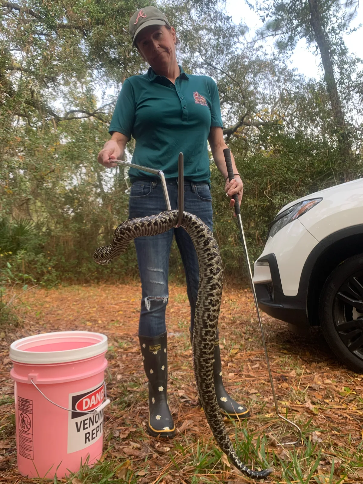 Southern Snake Lady relocators at work