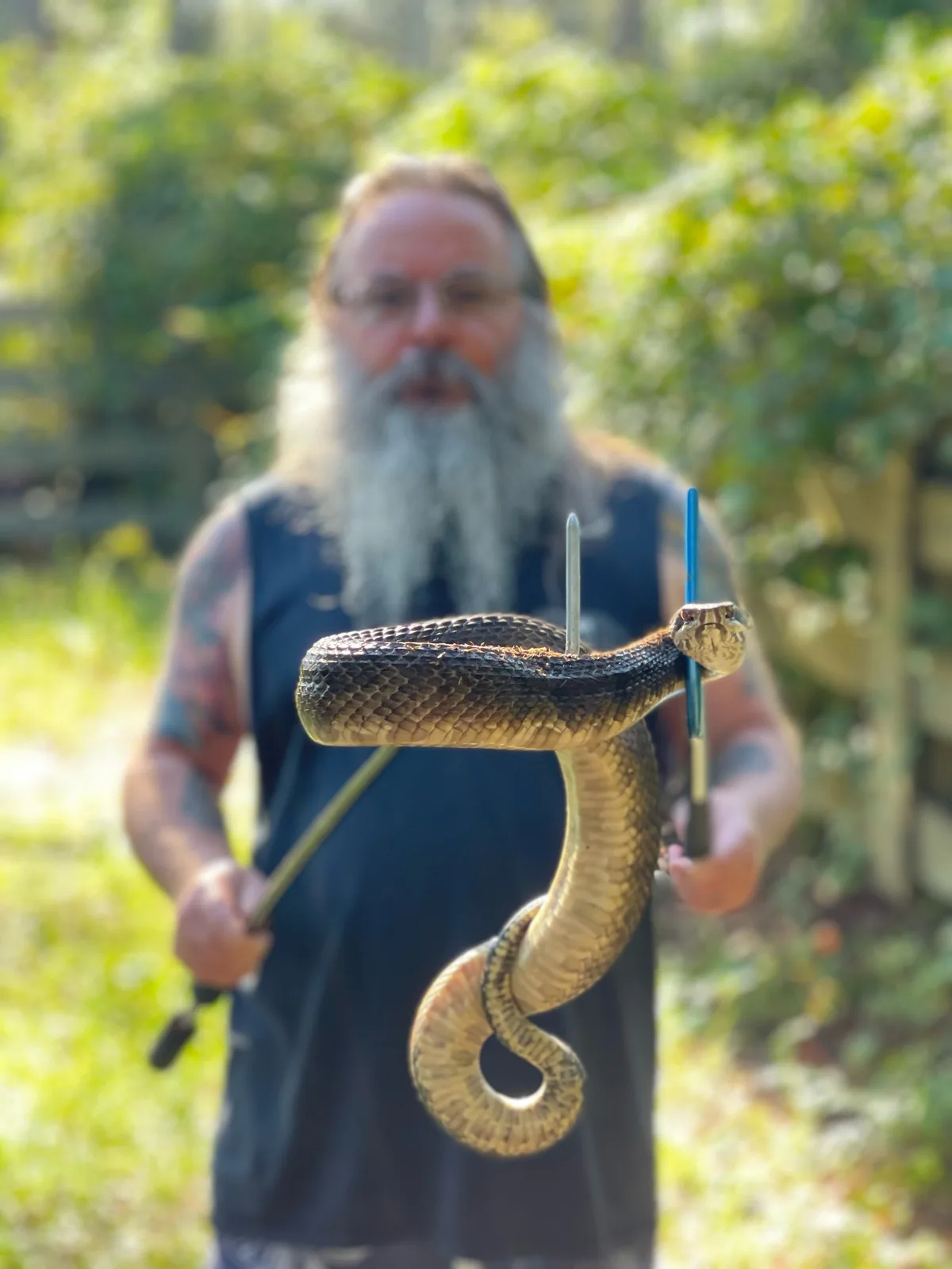 A relocator safely handling a snake